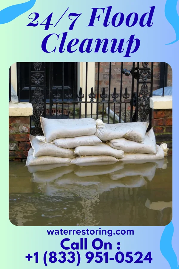 24/7 Flood Cleanup in Edmore, MI