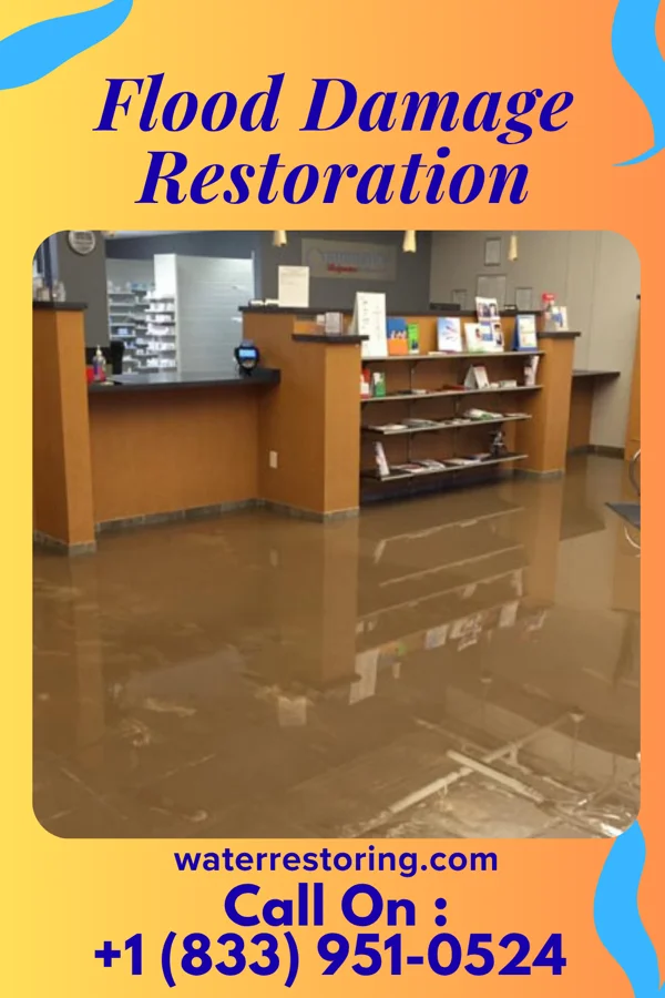 Flood Damage Restoration in Edmore, MI