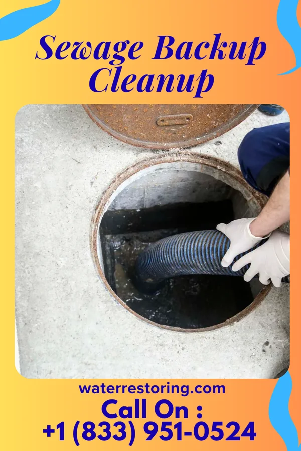Sewage Backup Cleanup in Edmore, MI