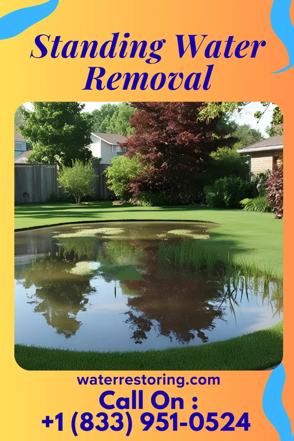 Standing Water Removal in Edmore, MI